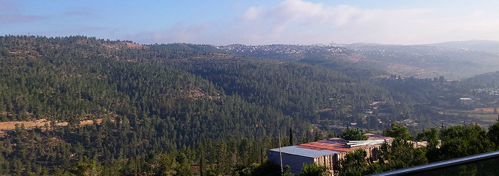 Ein Kerem Hotel Kudüs Dış mekan fotoğraf
